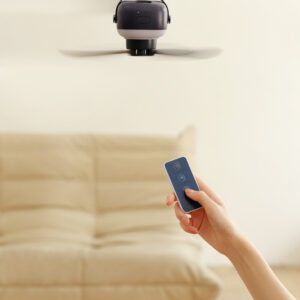 Camping Fan